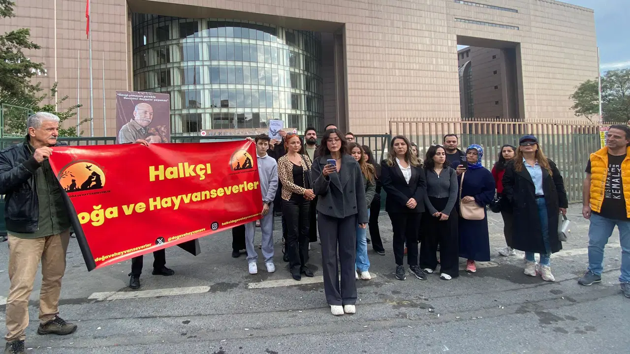 Bakırköy Adliyesi’nde ‘kedilerin sürülmesi’ kararı geri çekildi