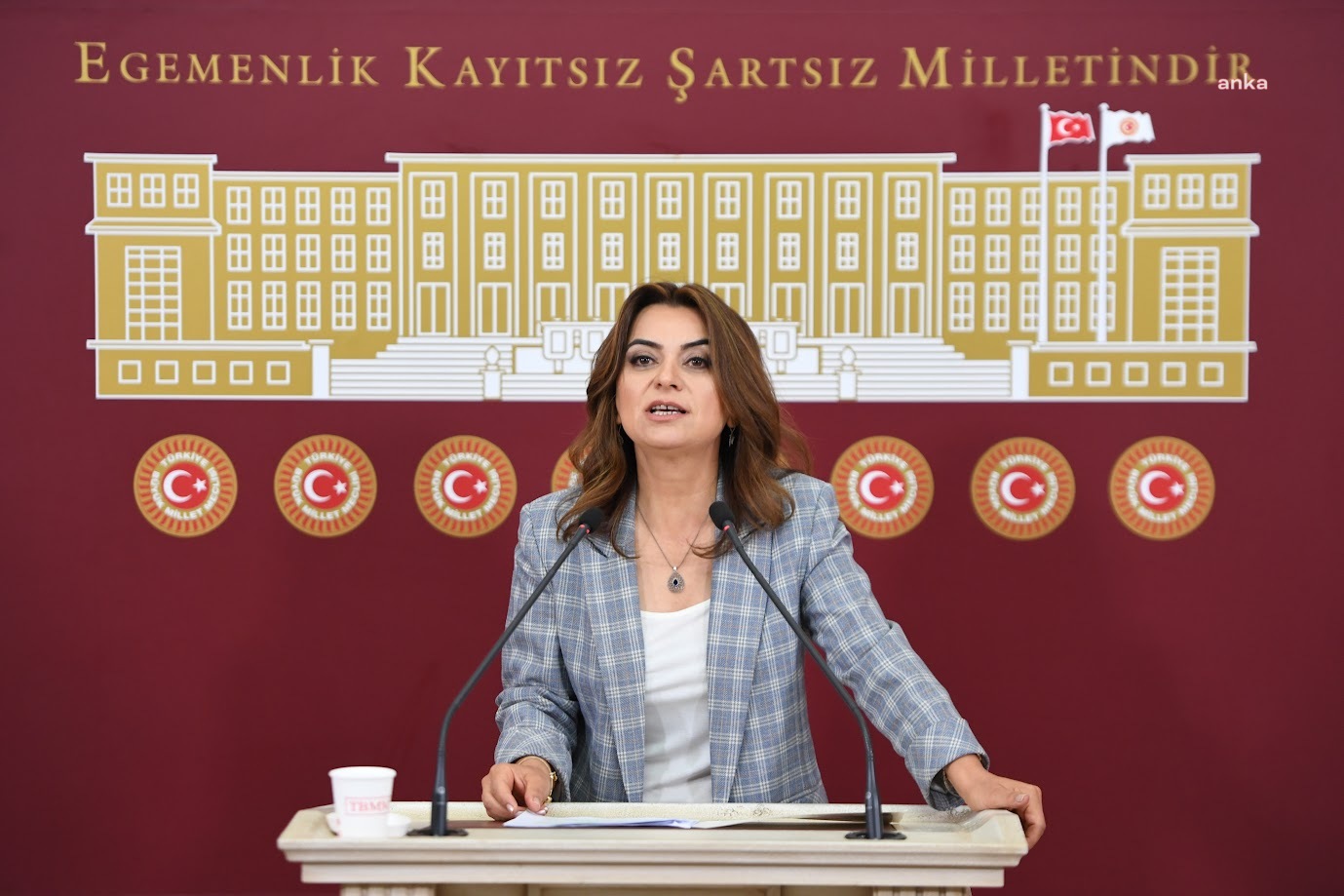 Gülistan Kılıç Koçyiğit: Suriye’deki Alevilerin hayatı göz ardı edilemez, Türkiye harekete geçmeli