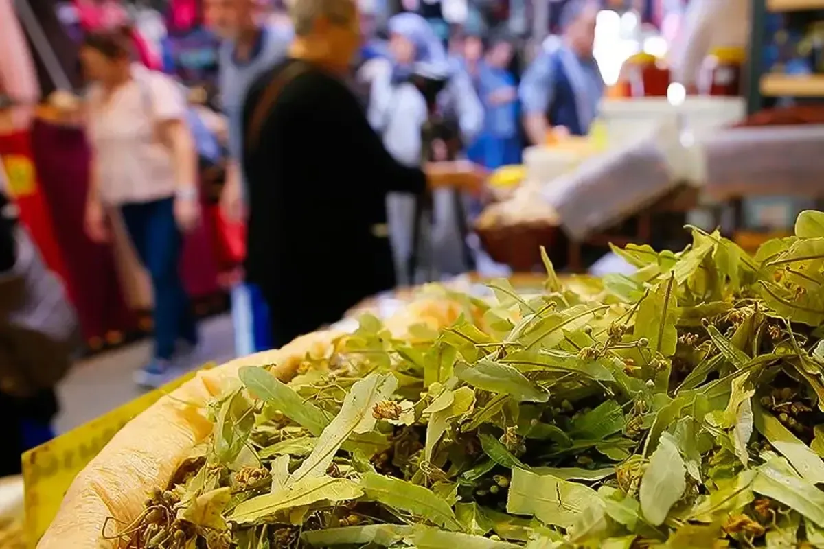 Kış çayları cep yakıyor: Ihlamurun kilosu 2 bin TL’ye çıktı