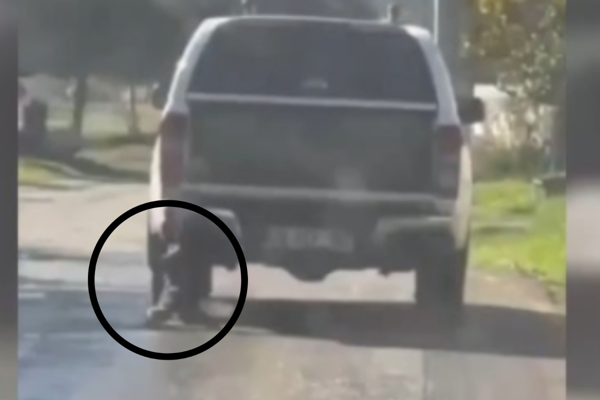 Muğla’da bir köpeğin işkenceyle öldürülmesi: 2 kişi gözaltına alındı