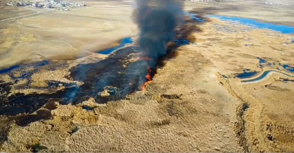 Kuşların yaşam alanı Çırak Sazlığı’nda yangın
