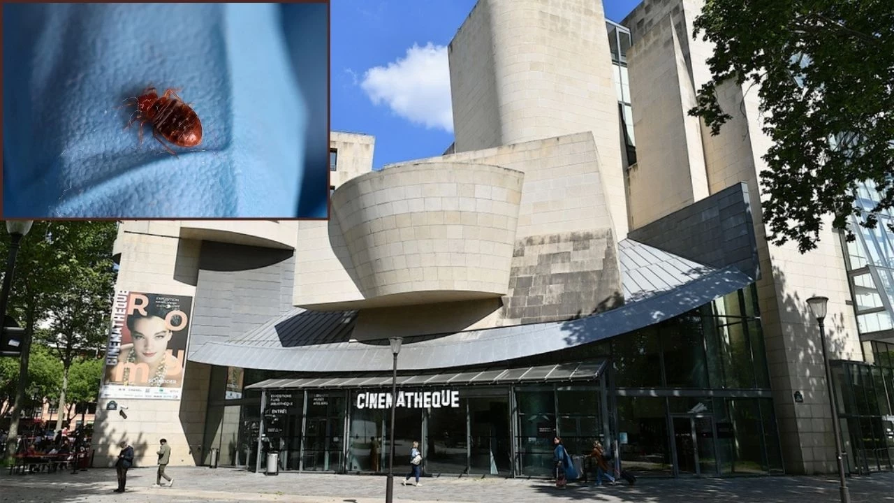Tahtakurusu istilası: Fransız Sinematek geçici olarak kapanıyor