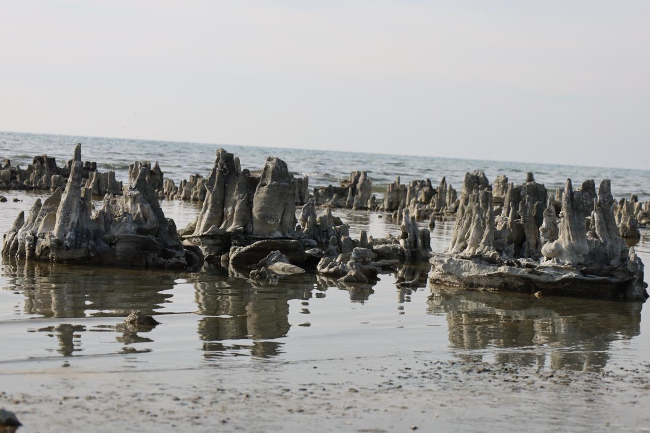Van Gölü havzası alarm veriyor: Bu artık mevsimsel değil, kalıcı bir iklim krizi