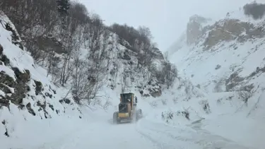 Artvin’de çığ düştü: Üç çoban aranıyor