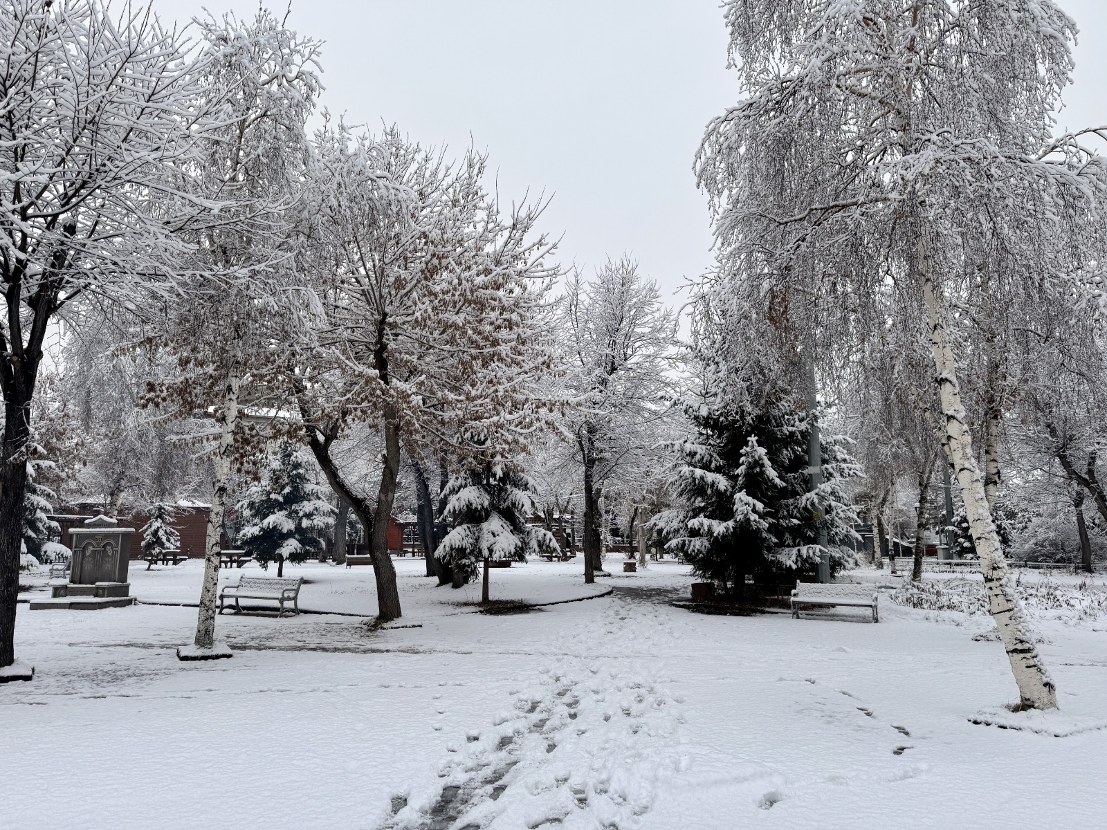 Erzurum, Kars, Ardahan, Ağrı ve Dersim’de kar yağışı etkili oldu
