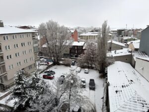 Erzurum, Kars, Ardahan, Ağrı ve Dersim’de kar yağışı etkili oldu