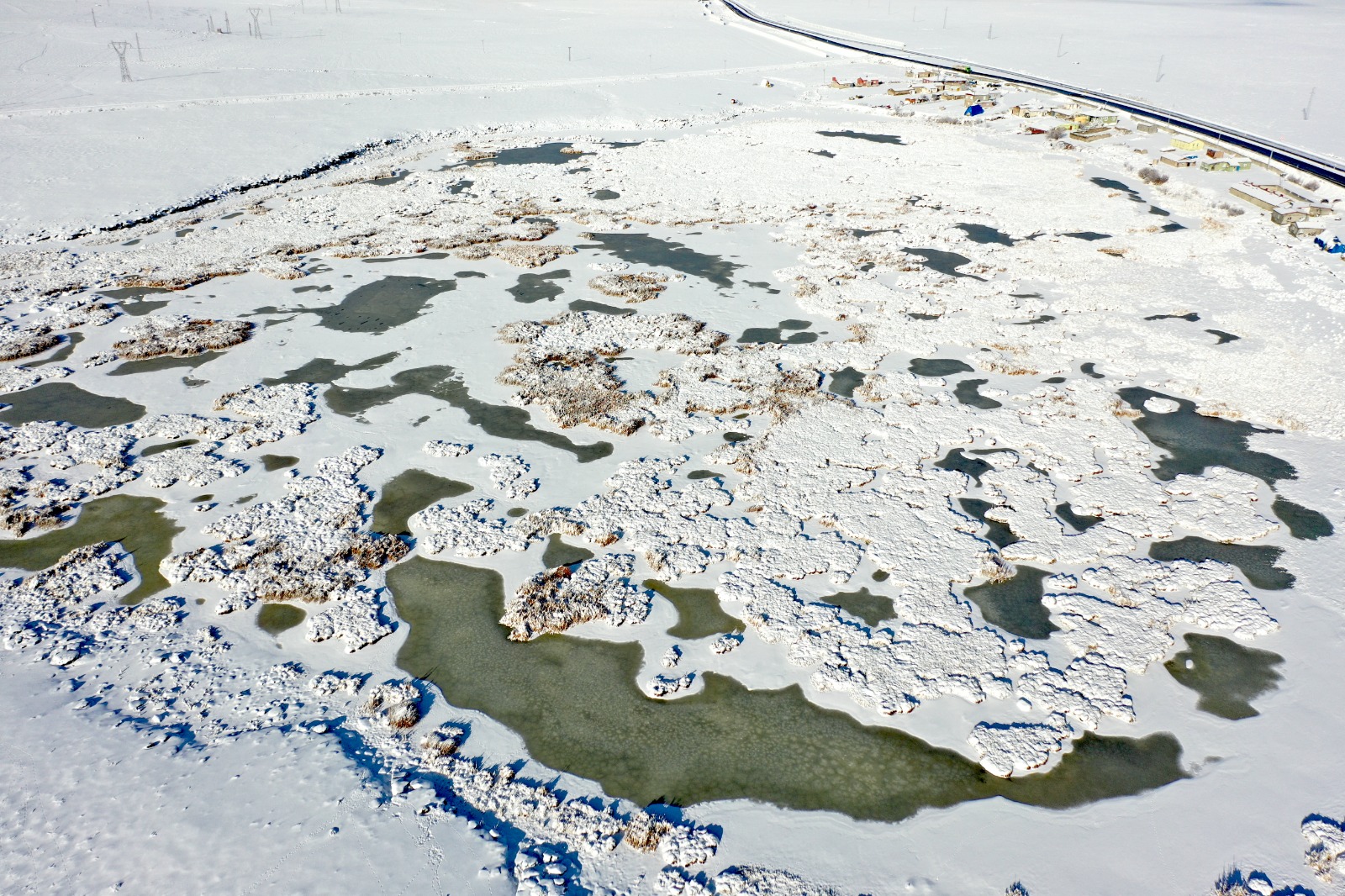 Afrika’dan Rusya’ya göç eden kuşları ağırlayan Çalı Gölü dondu