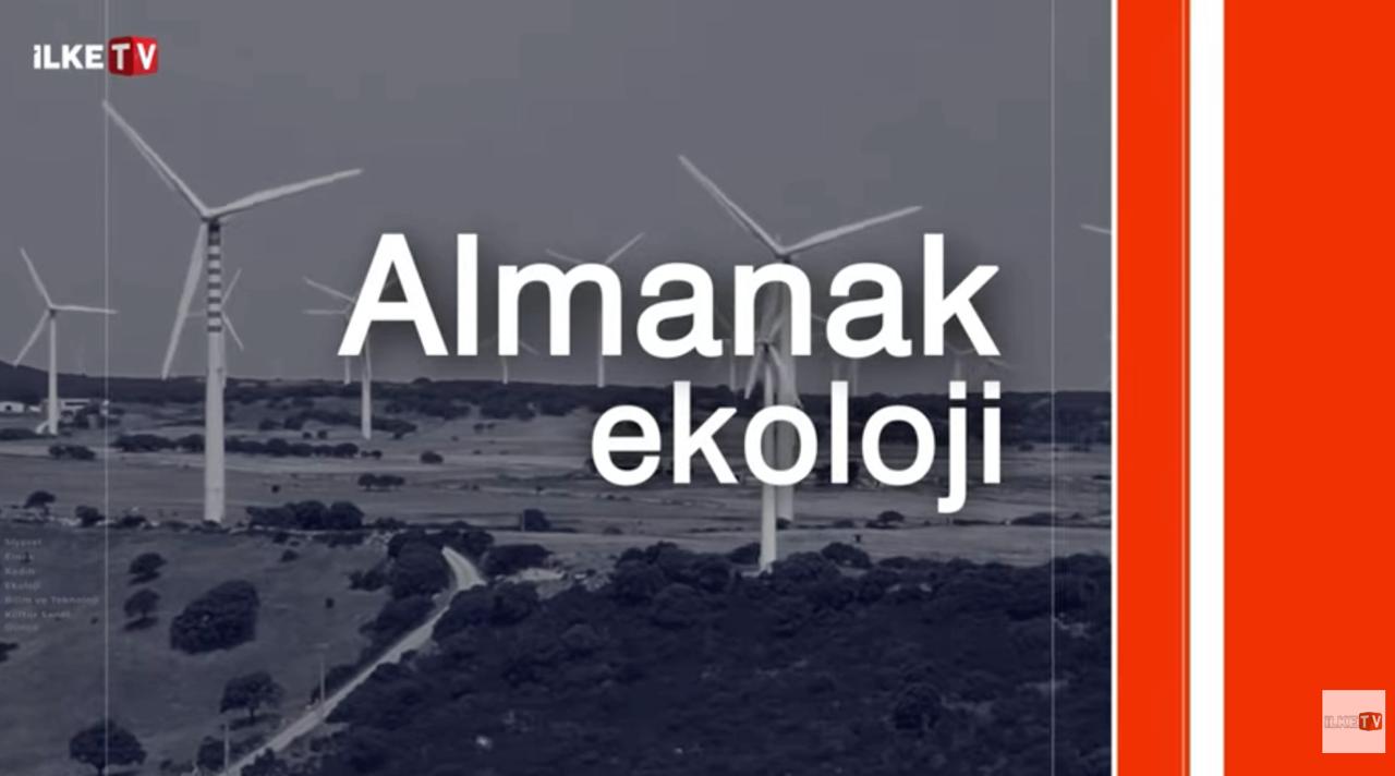 PANAROMA 2025 | Ekolojinin bir yılı: Madene, atık tesisine, zeytin kıyımına itiraz büyüdü