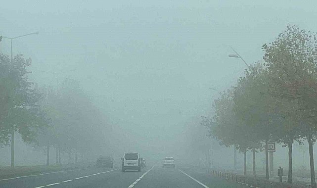Üç günlük yağış sonrası Diyarbakır’da yoğun sis