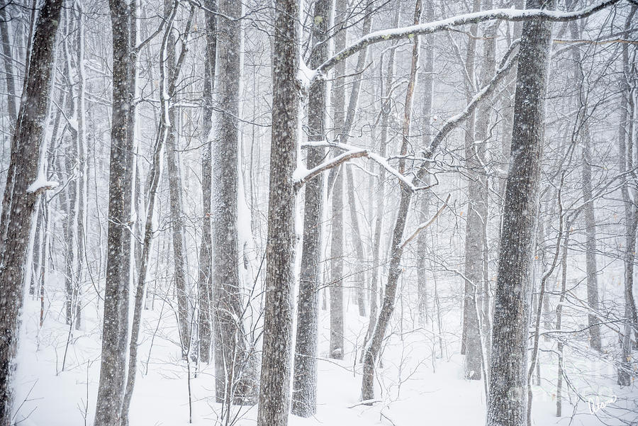 Türkiye’nin en soğuk şehri: Hava -30 dereceye indi!