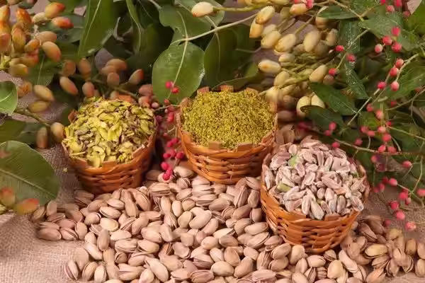 Güneydoğu’daki üreticiler: Fıstık stratejik ürün kapsamına alınsın