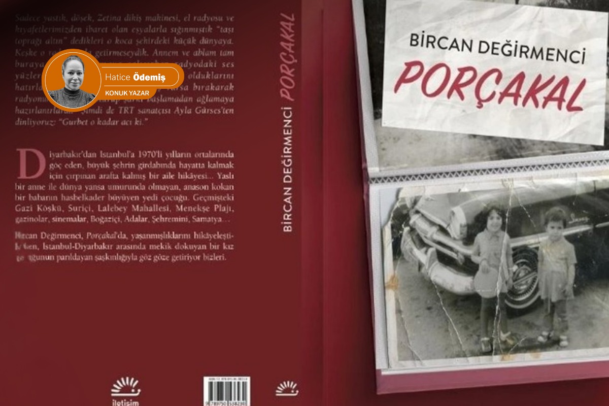 Hatice Ödemiş yazdı | Porçakal: Mizahın, geri çekilmenin ve gündelik hayatın politikası