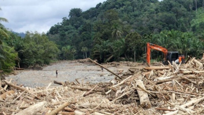 Sel felaketi sonrası Endonezya’da orman ruhsatları iptal ediliyor