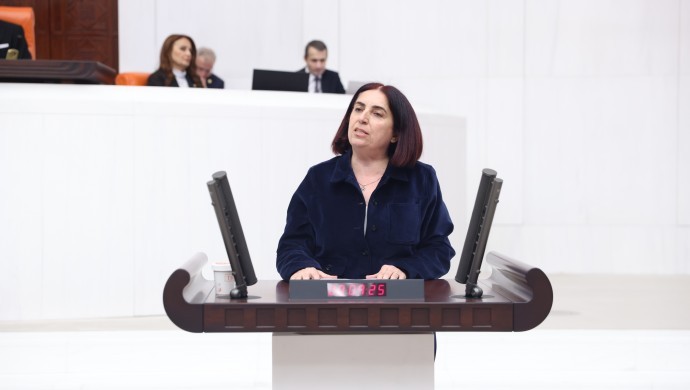 Sevilay Çelenk: Suriye Kürtlerinin kazanımları özgür, demokratik bir Suriye’nin güvencesi olarak görülmeli