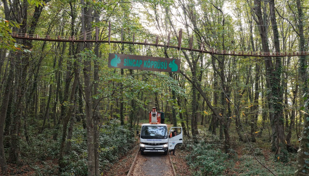 Ormanda sincaplar için köprü yaptılar