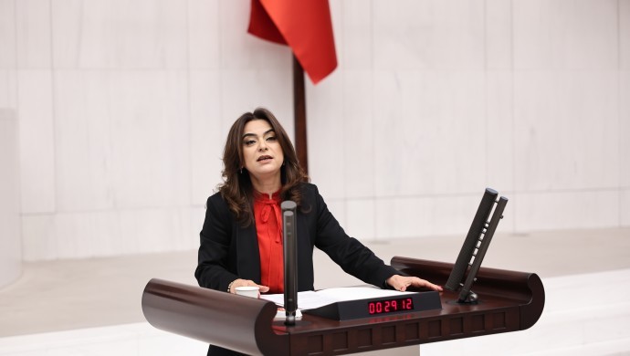 Gülistan Kılıç Koçyiğit: Biz halkların onurlu yaşam talebinin yanındayız