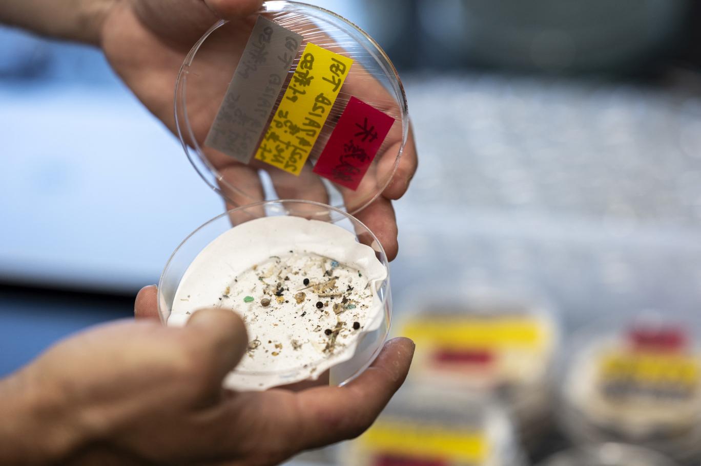 Çinli bilim insanları uyardı: İki mega kentin üzerinde ‘plastik bulutlar’ var