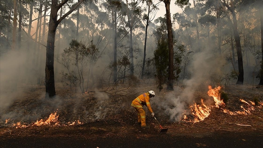 Avustralya’da orman yangınları: Bölge sakinlerine tahliye çağrısı