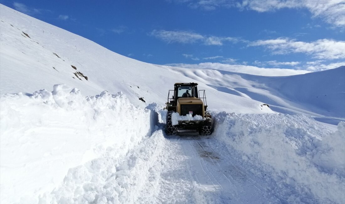 Van, Hakkari, Bitlis ve Muş’ta kar engeli: 289 yerleşime ulaşım yok
