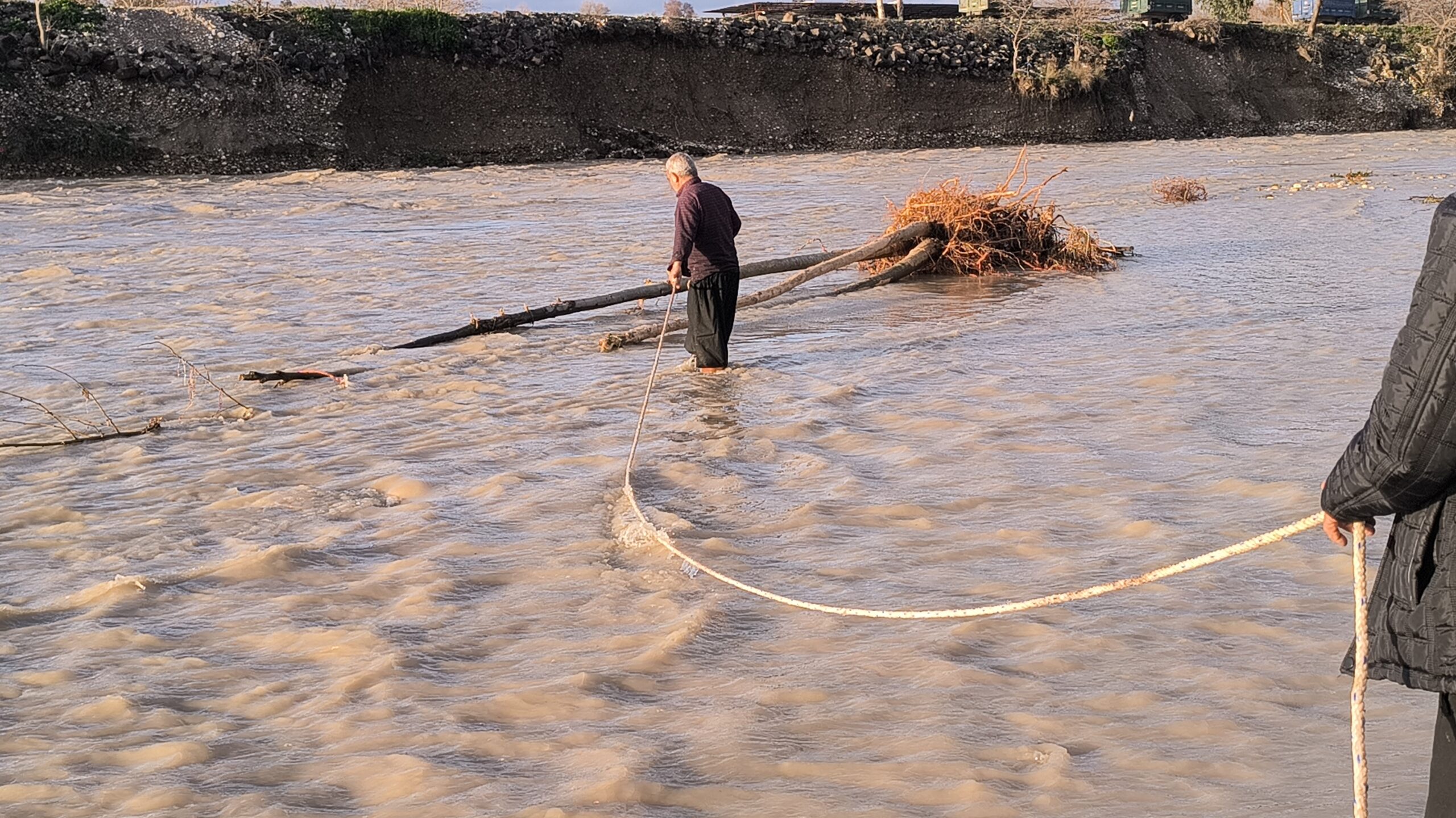 Çayda sel sularının süreklediği ağaçları topluyorlar: ‘Tehlikeli ama yakacak yok’