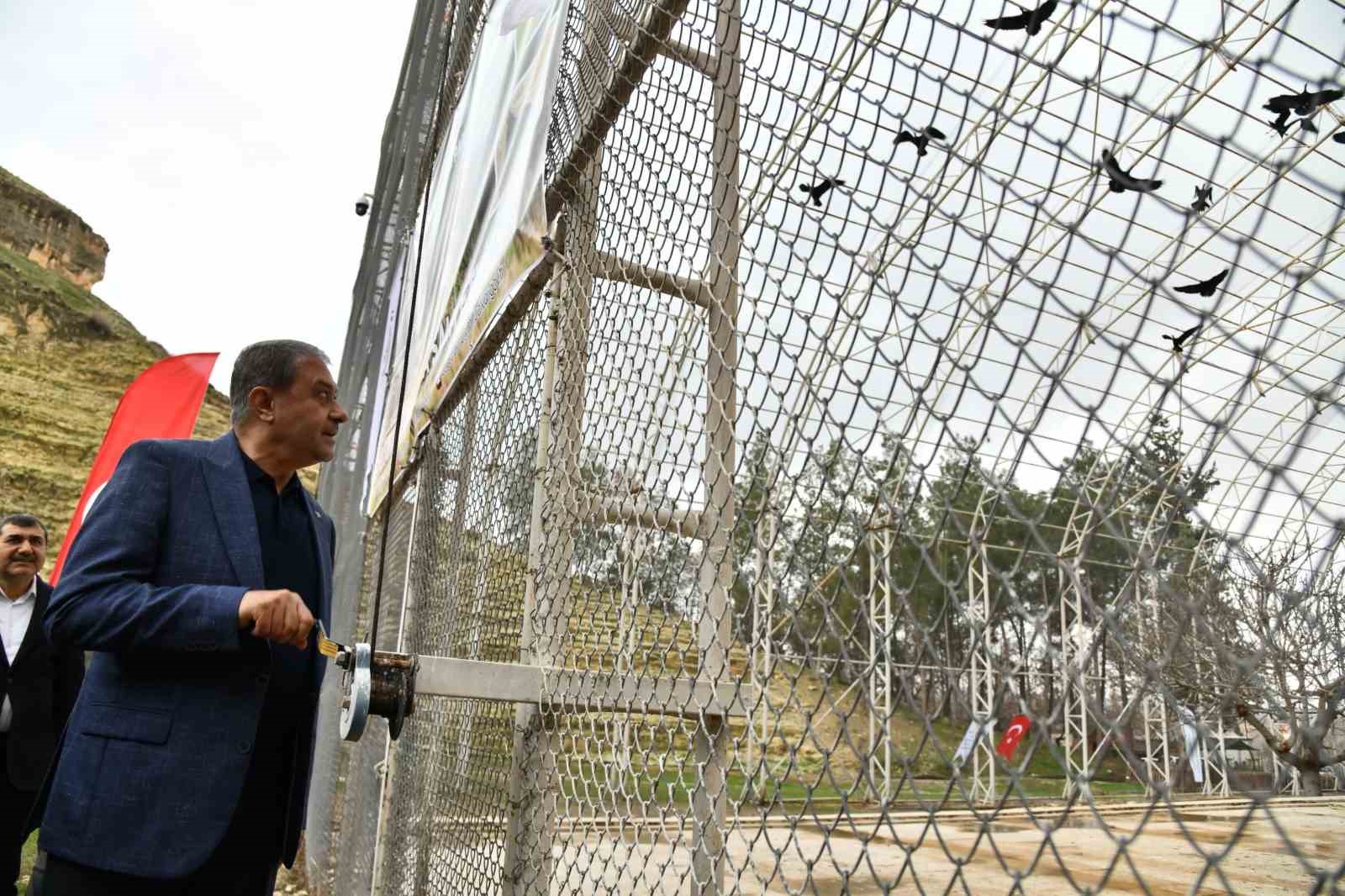 Kelaynaklar Birecik’te doğaya salındı