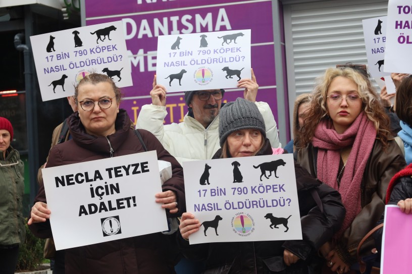 Sokak hayvanları yasasına karşı protesto: ‘Toplumsal barışı tehdit ediyor’