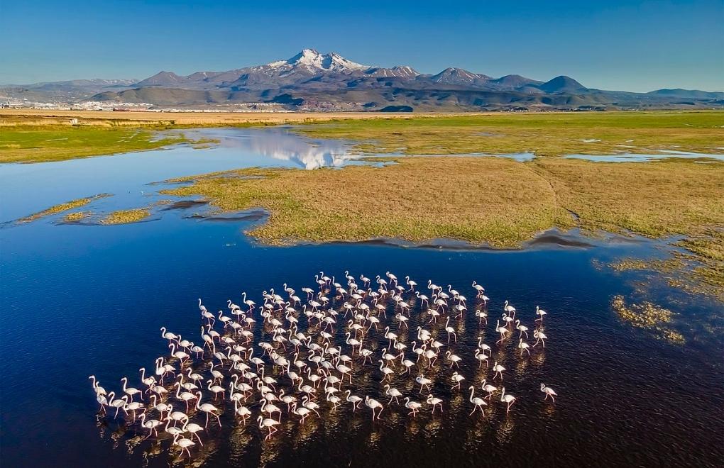 İklim Adaleti Koalisyonu’ndan Dünya Sulak Alanlar Günü çağrısı: Su yoksa yaşam da yok