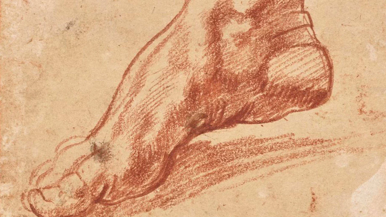 Michelangelo’nun tebeşir çizimi rekor fiyata satıldı