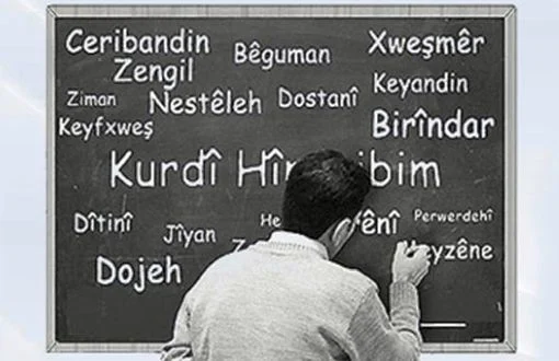Kürt Enstitüleri’nden ‘Dünya Anadili Günü’ açıklaması: Dili korumak için o dilde eğitim şart