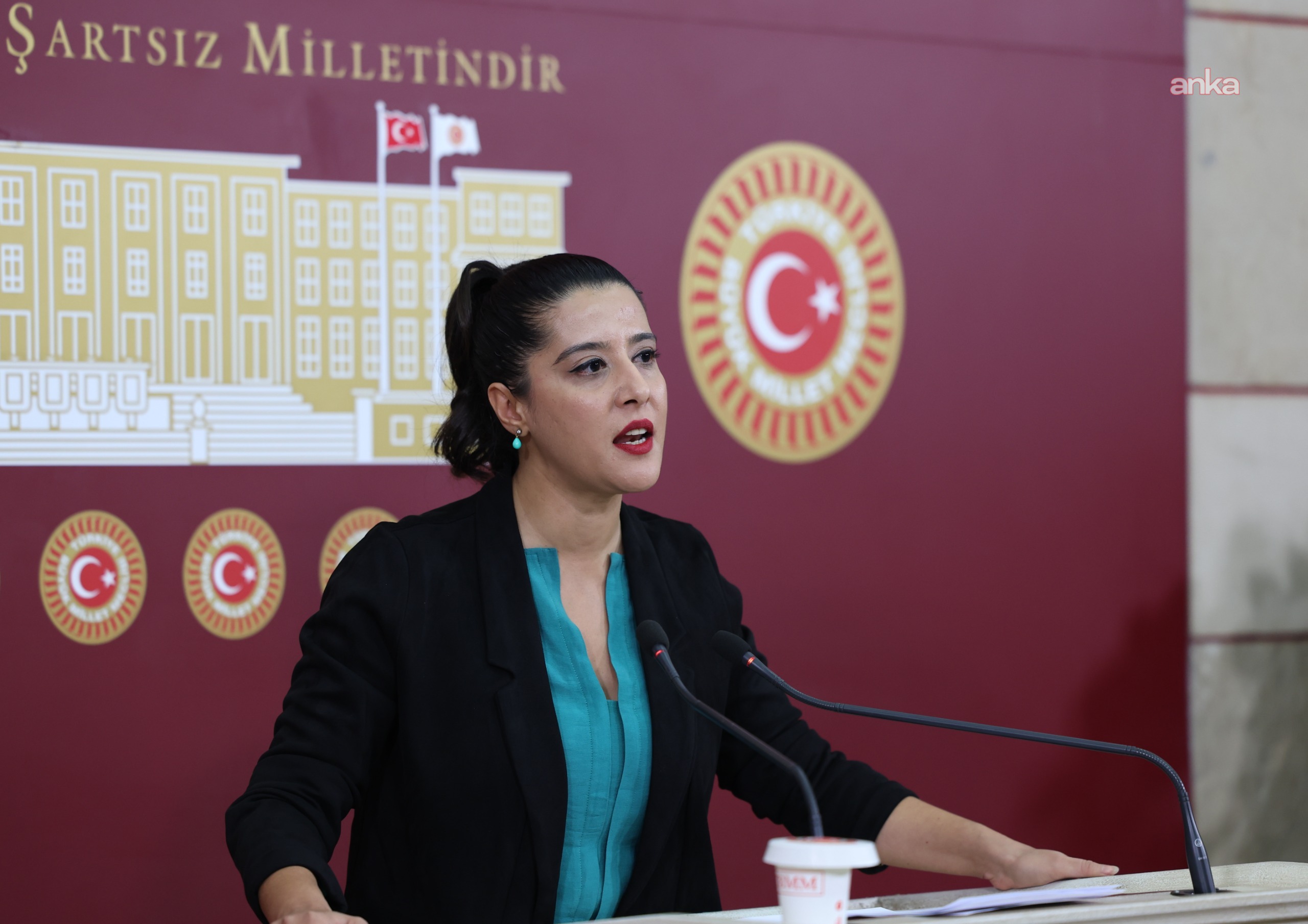 IŞİD’lilerin iadesi ve yargılanma konusu Meclis gündeminde: ‘Katliam firarileri kamplarda mı?’