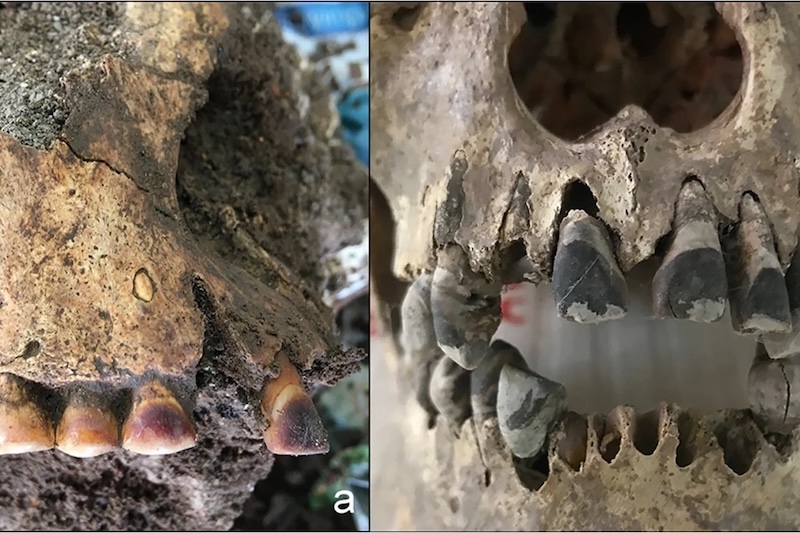 Eski Vietnamlılar bu kadar siyah gülüşlere nasıl sahip oldular?