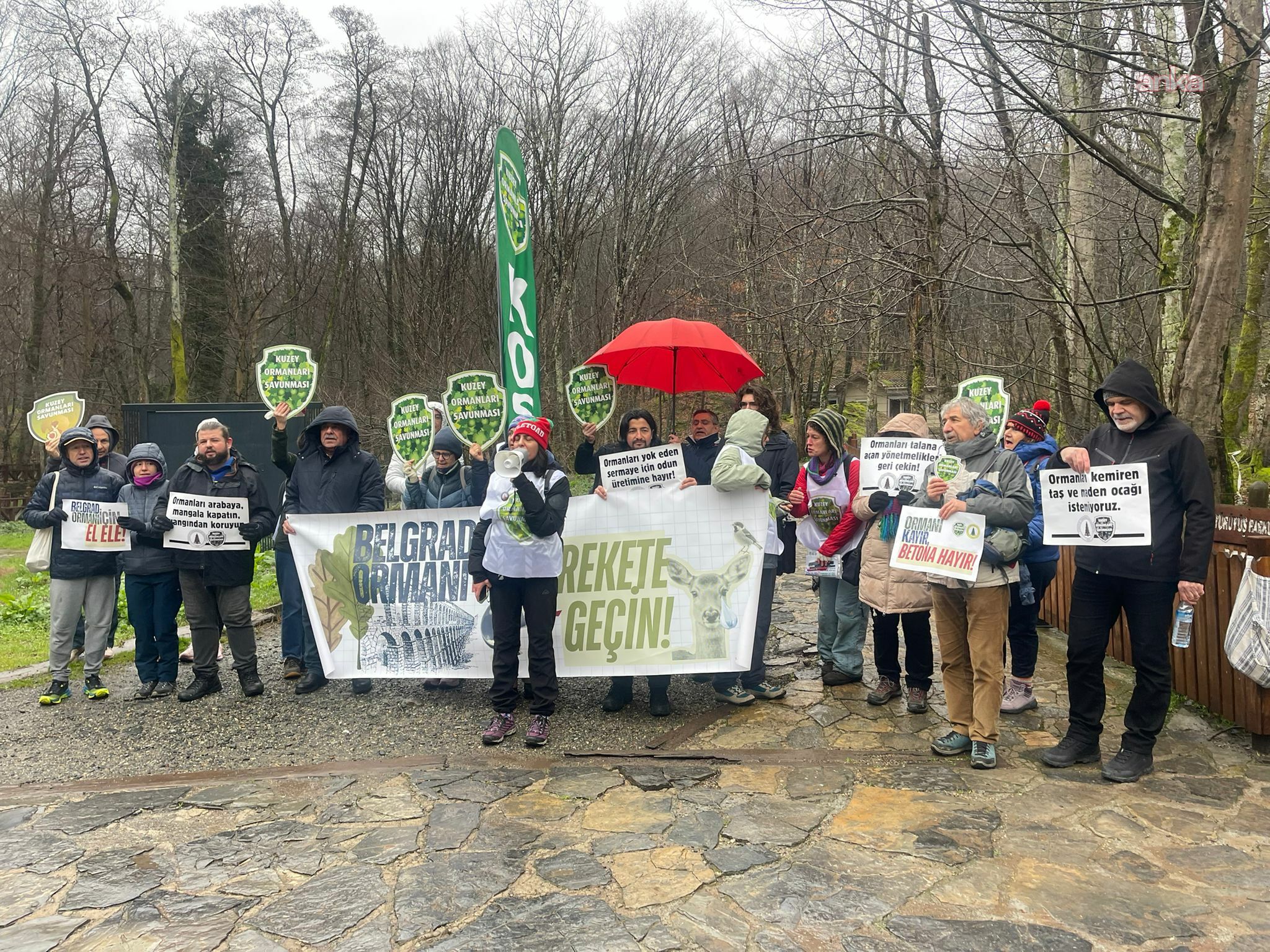 Doğa savunucuları: Belgrad Ormanı sadece piknik alanı değil, kentin nefesidir