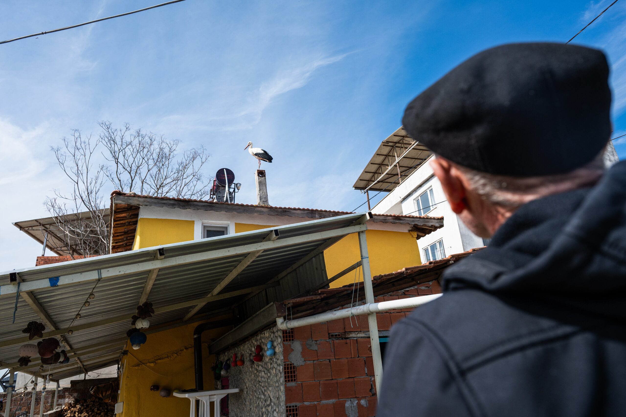 Eskikaraağaç Leylek Köyü bu yıl ilk misafirini ağırladı