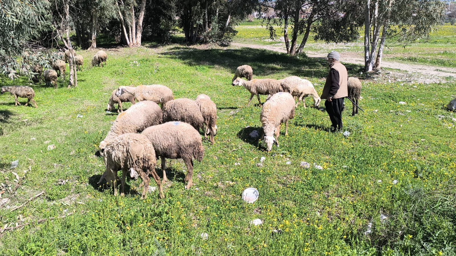 66 yaşında, yeni ameliyat oldu ama hala çalışıyor: ‘Başka çarem yok’