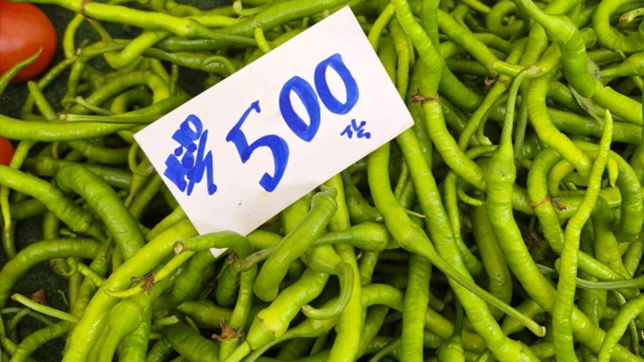 Biber fiyatlarına inceleme başlatıldı