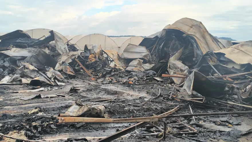 Antalya’da yangın: 7 aylık hamile kadın ve 5 çocuk hayatını kaybetti