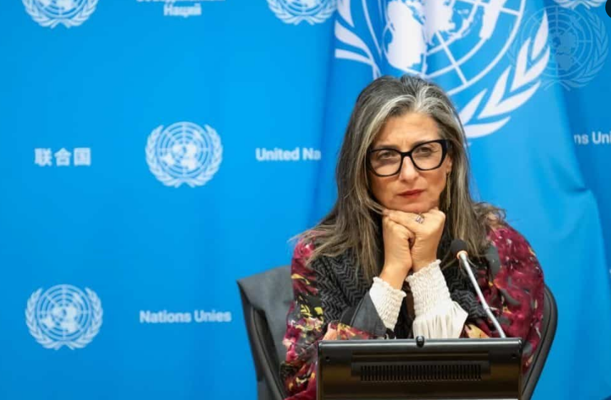 BM Raportörü Albanese’den İsrailli bakanlar hakkında tutuklama çağrısı