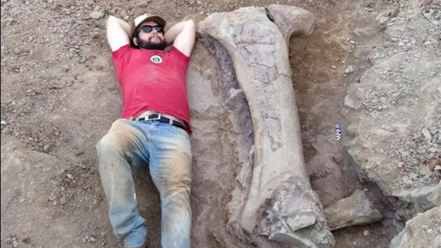 Bir kemiği insan boyunda: Dev dinozor türü keşfedildi
