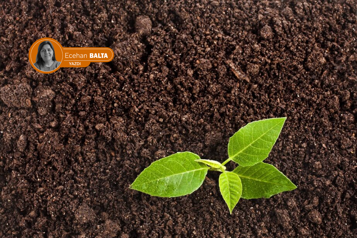 Toprağın hafızası kadınlarda, mülkiyeti erkeklerde