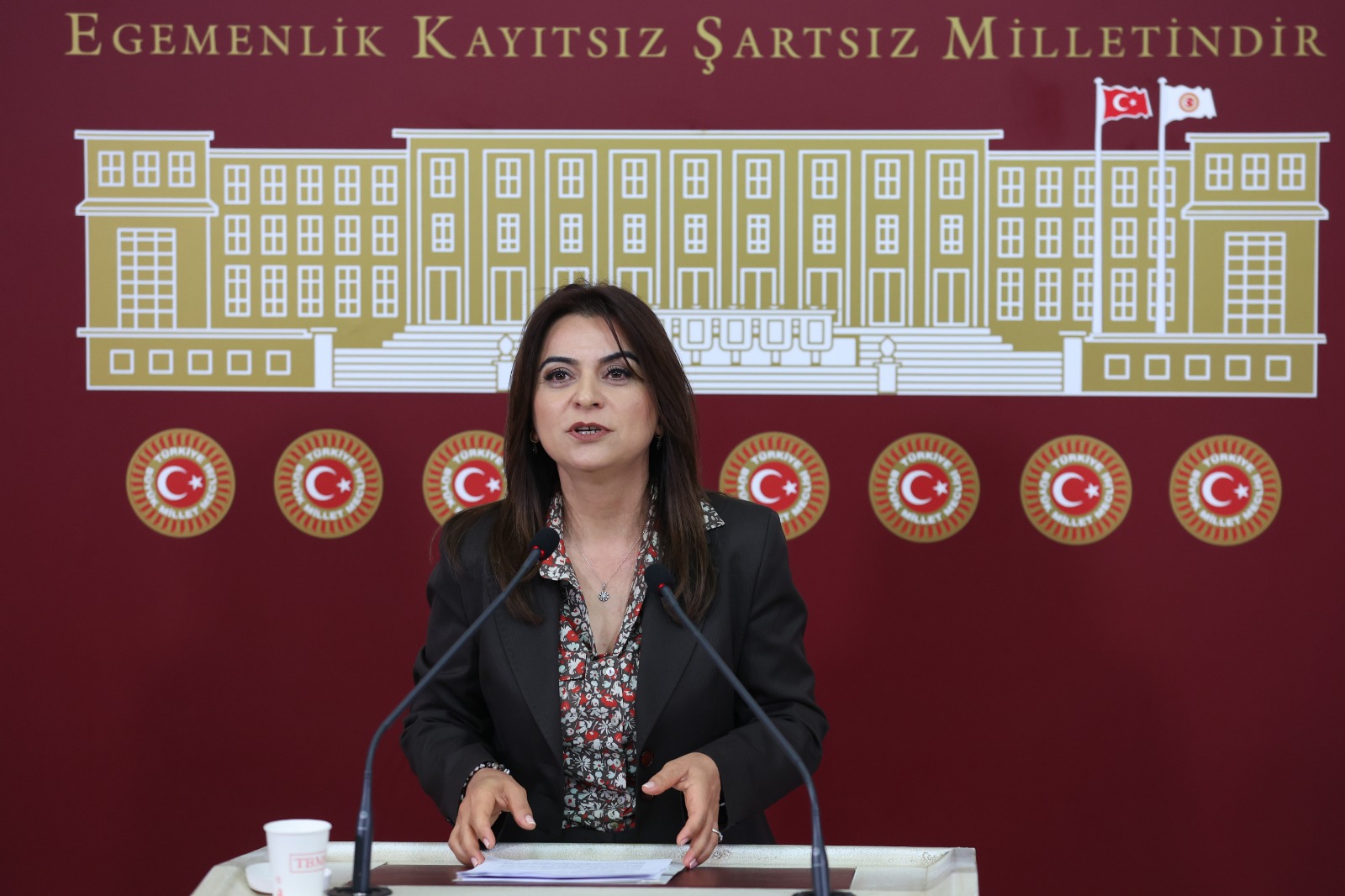 Gülistan Kılıç Koçyiğit: Bir an önce yasalar çıkmalı