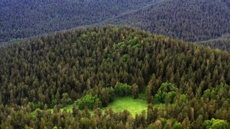 Meclis’te kabul edilen Milli Parklar Yasası neleri içeriyor?