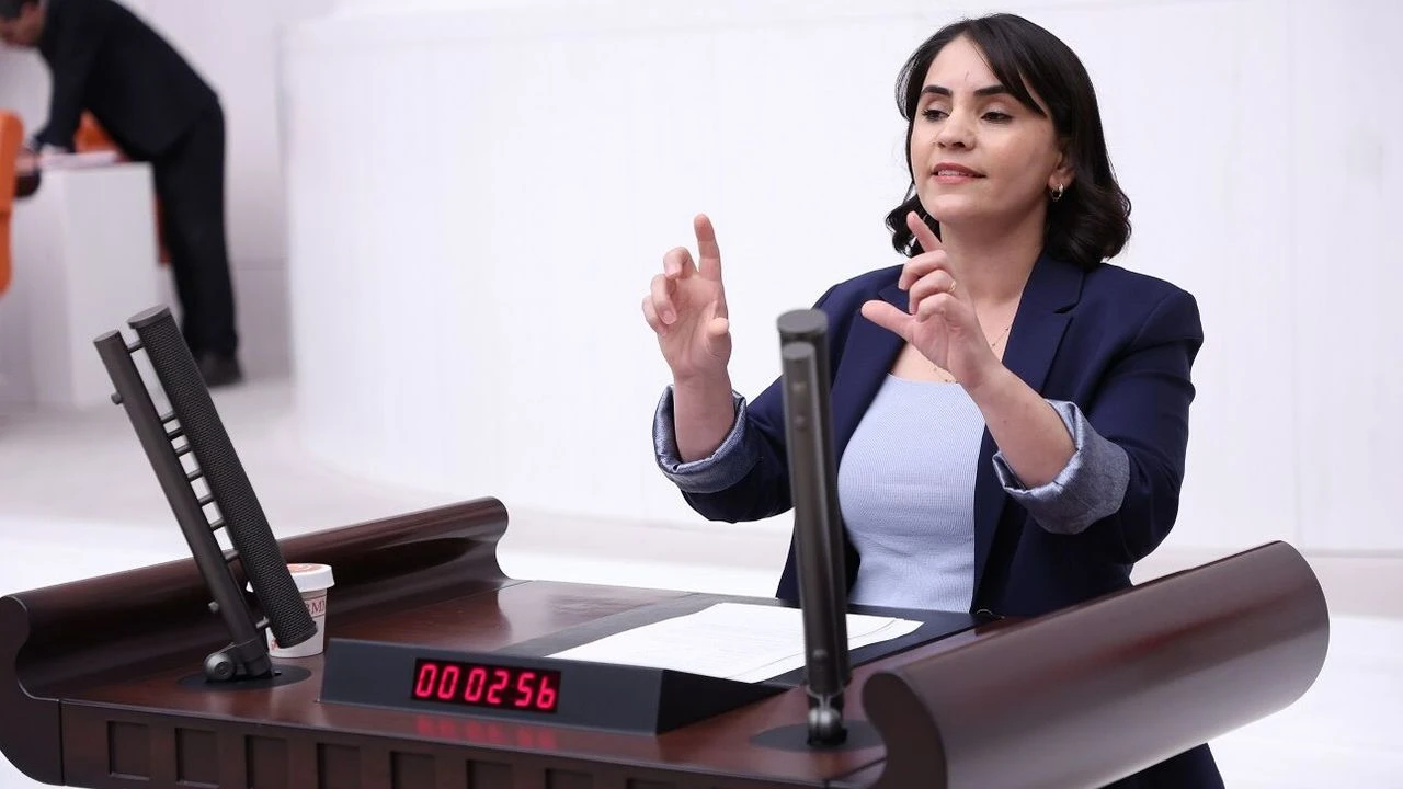 Nevroz Uysal: Cezaevleri’ndeki sistem kadın bedeni üzerinde tahakküm aracına dönüştü