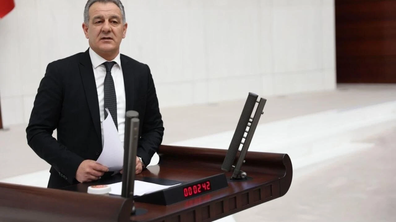 Barışa katkı sunacak | DEM Partili Yılmaz Hun: Alican Sınır Kapısı açılmalı