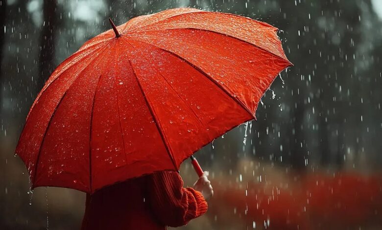 Meteoroloji’den 31 il için ‘sarı kod’ uyarısı