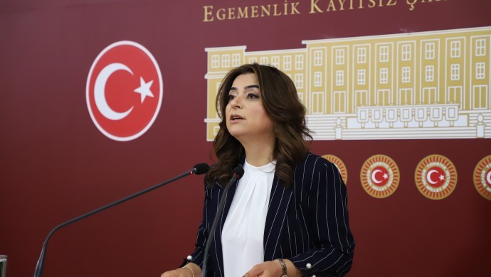 Gülistan Koçyiğit: Çeşitli gerekçelerle yasal sürecin geciktirilmesini doğru bulmuyoruz