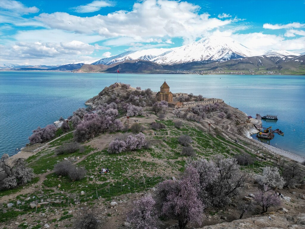 Akdamar Adası çiçek açan badem ağaçlarıyla renklendi