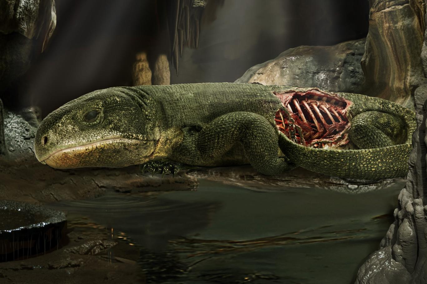 289 milyon yıllık fosil, insanın nefes alma şeklinin kökenlerine ışık tutuyor