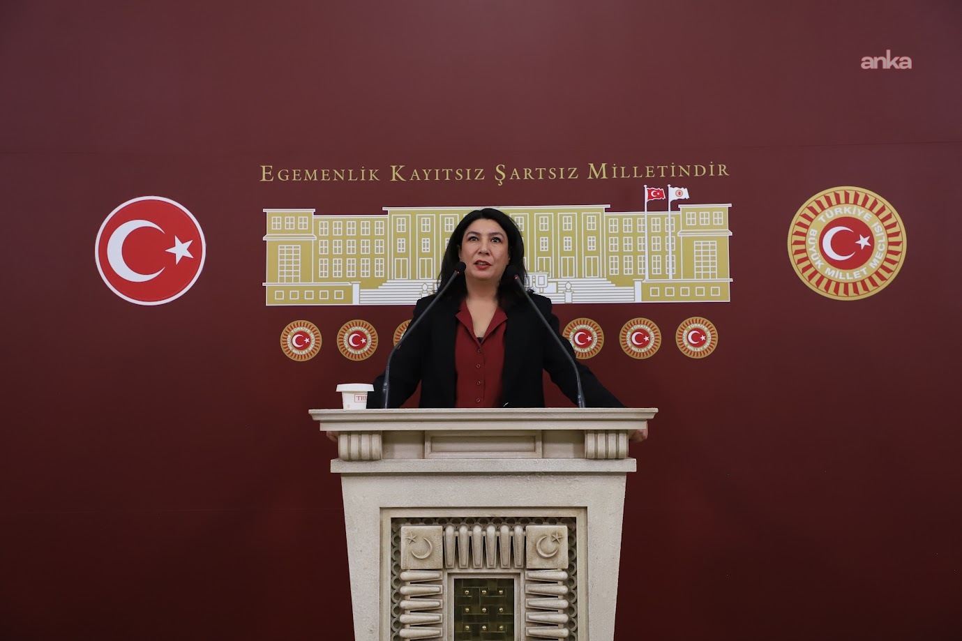 Halide Türkoğlu: Gülistan Doku davası, yargı ve kolluğun çöküşünün göstergesidir