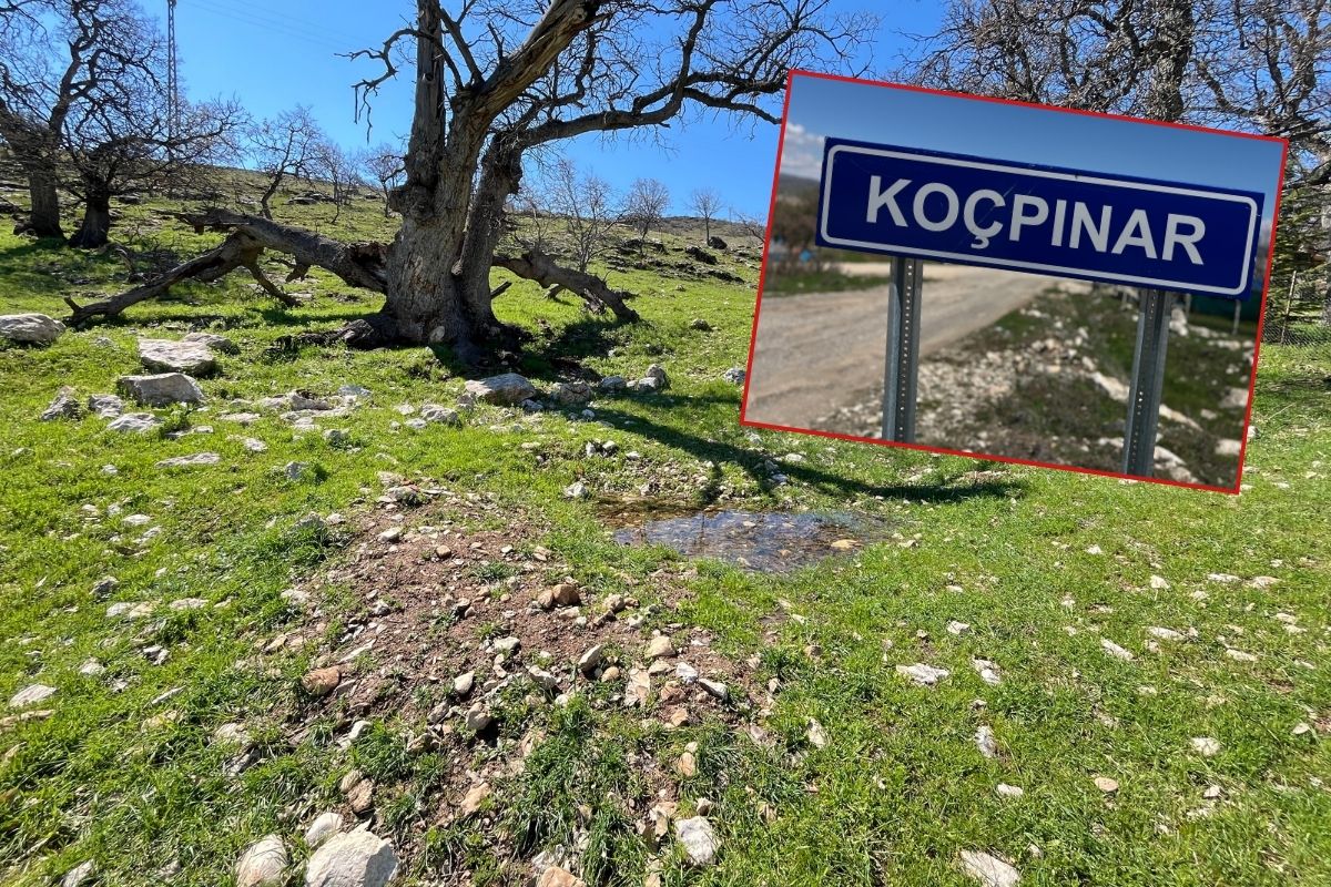 Gülistan Doku soruşturmasında ‘mezar görünümlü boşluk’ tespiti