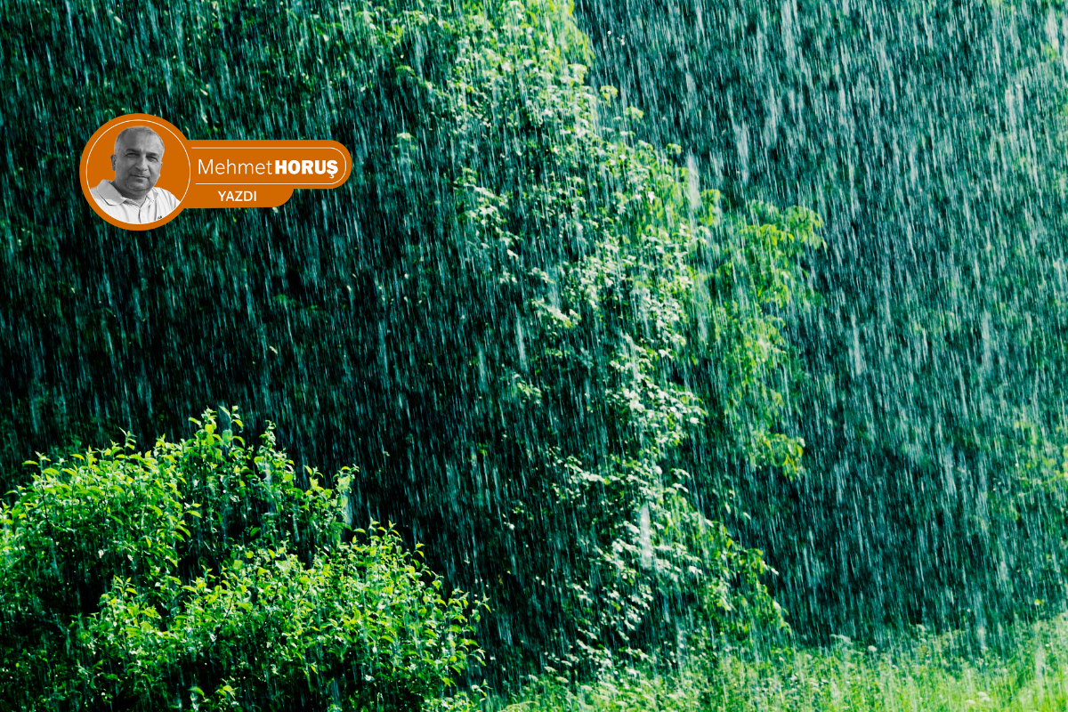 Yağmur hırsızlığı